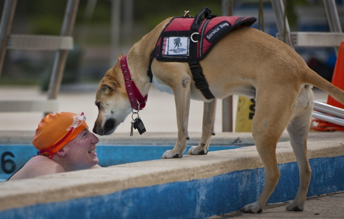 Votre piscine municipale est-elle accessible?